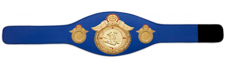 MMA CHAMPIONSHIP BELT-PROWING/G/MMAG - AVAILABLE IN 6+ COLOURS